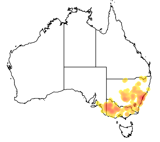 Micromyrtus ciliata flora location map