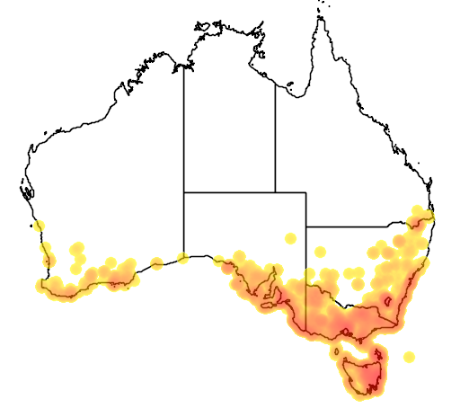 Pelargonium australe flora location map