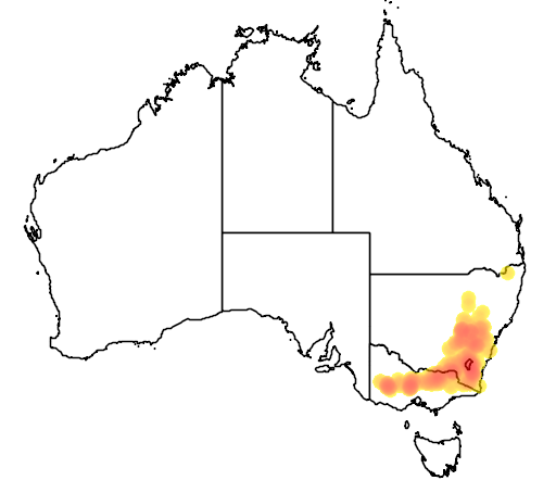 Persoonia rigida flora location map