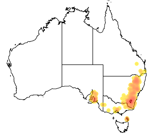Pimelea curviflora var sericea flora location map