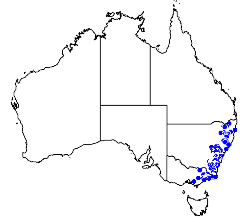 Pomaderris eriocephALA flora location map