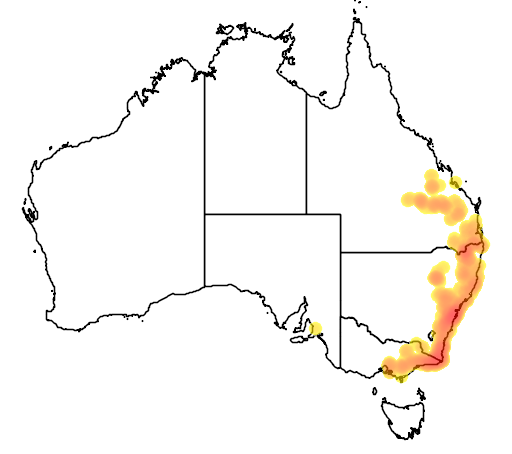 Pomaderris lanigera flora location map