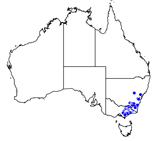 Pomaderris velutina flora location map