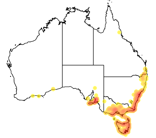 Pultenaea daphnoides flora location map