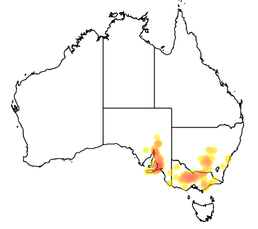 Pultenaea largiflorens flora location map