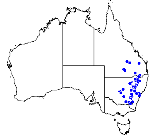 Ricinocarpos bowmanii flora location map