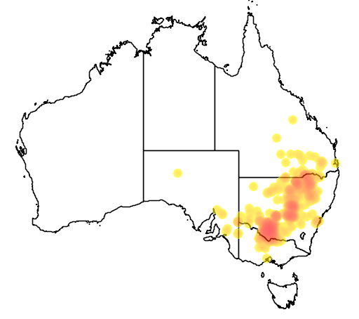 Sclerolaena muricata var semiglabra flora location map