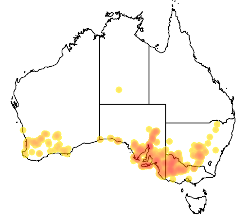 Solanum simile flora location map