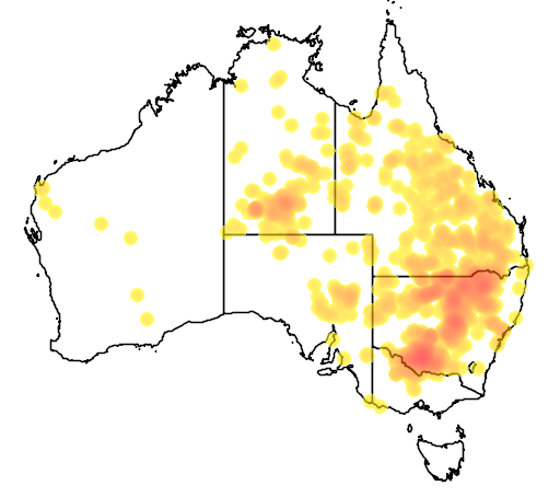 Sporobolus caroli flora location map