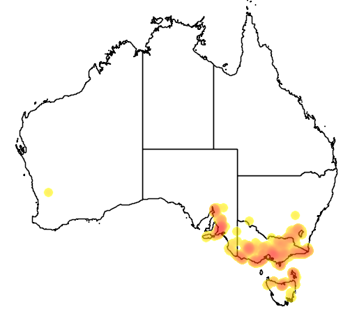 Spyridium parvifolium flora location map