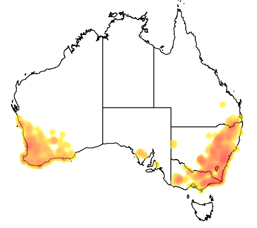 Stypandra glauca flora location map