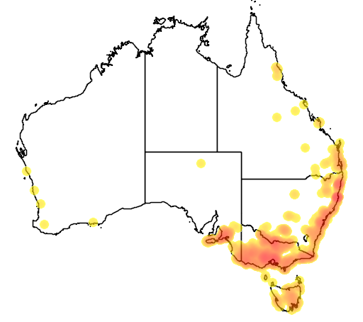 Triglochin procera flora location map