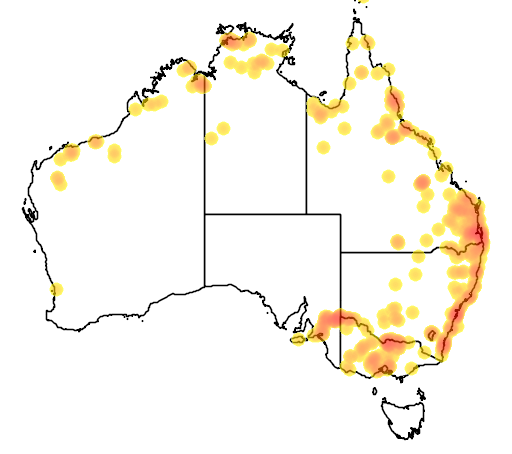 Vallisneria nana flora location map