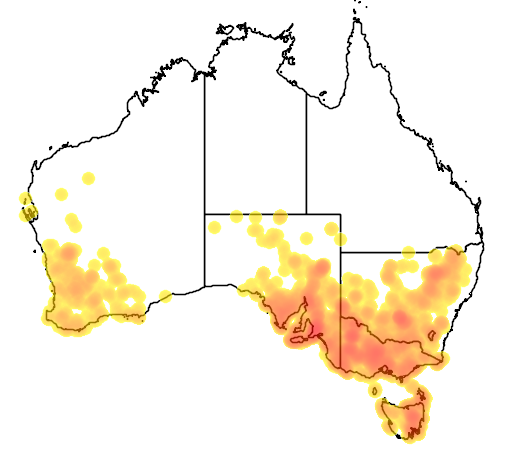 Wahlenbergia gracilenta flora location map
