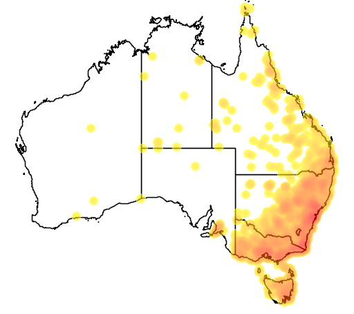 Wahlenbergia gracilis flora location map