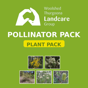 Pollinator Pack - Woolshed Thurgoona Landcare Group
