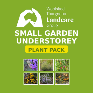 Small Garden Understorey Pack - Woolshed Thurgoona Landcare Group